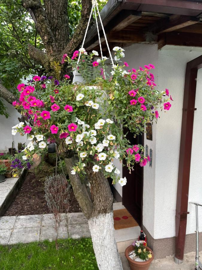 Apartments Music, Garden And Free Parking Сараєво Екстер'єр фото